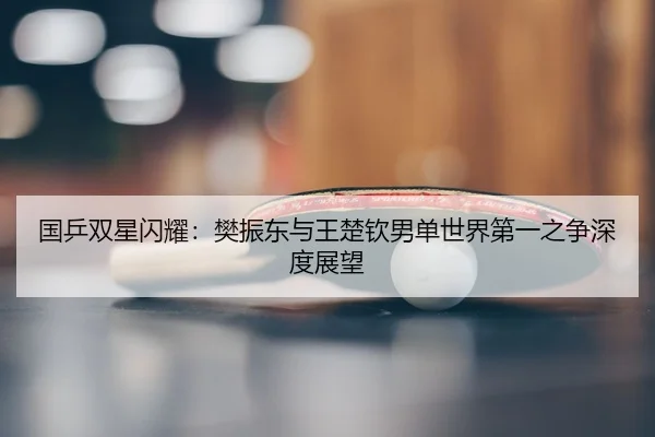 guo-ping-shuang-xing-shan-yao-fan-zhen-dong-yu-wang-chu-qin-nan-dan-shi-jie-di-yi-zhi-zheng-shen-du-zhan-wang-3-682.jpg