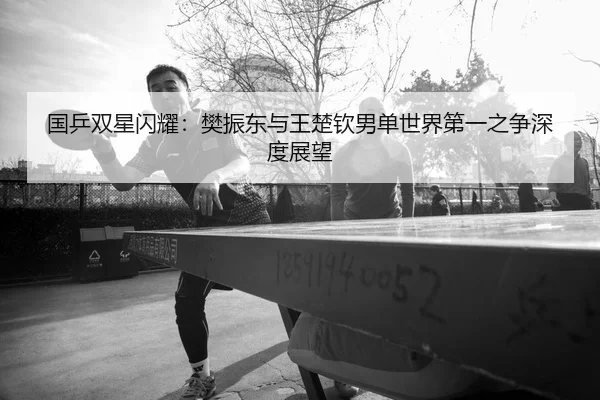 国乒双星闪耀：樊振东与王楚钦男单世界第一之争深度展望