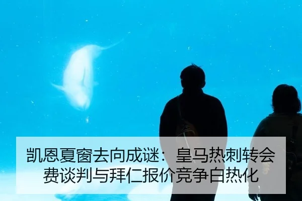 凯恩夏窗去向成谜：皇马热刺转会费谈判与拜仁报价竞争白热化