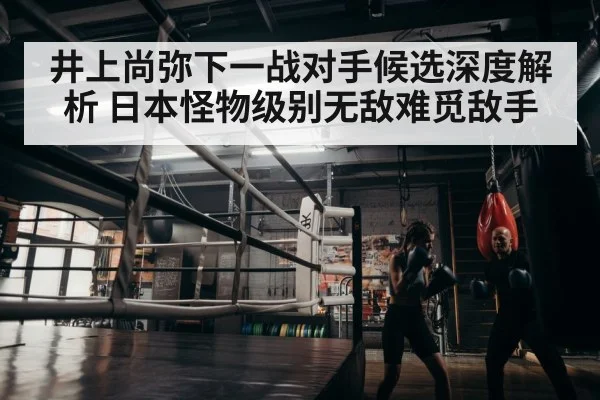 boxer training