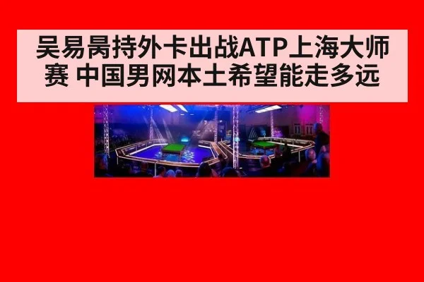 吴易昺持外卡出战ATP上海大师赛 中国男网本土希望能走多远